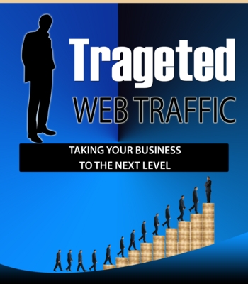Product picture Targeted Traffic Simplified