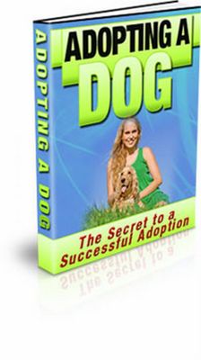 Product picture Discover The Secrets To Successfully Adopting A Dog!
